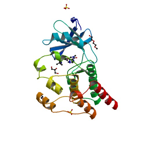Burton Tyrosine Kinase BTK
