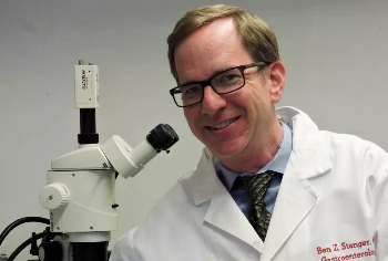 LetsWin Hot and Cold Tumor