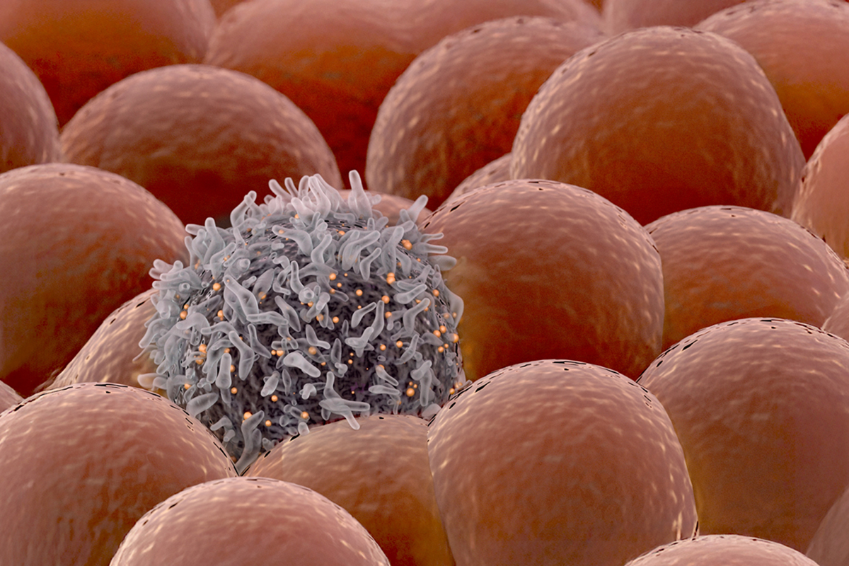 aacr dormant cancer cells