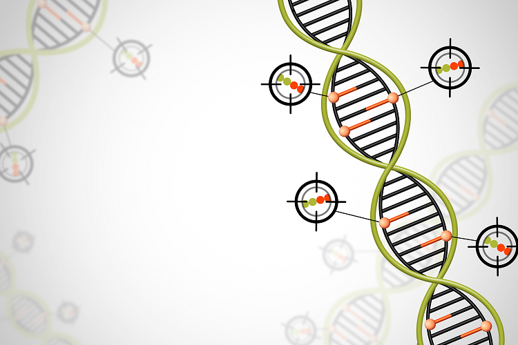 cancertoday cancer is in the family 2022