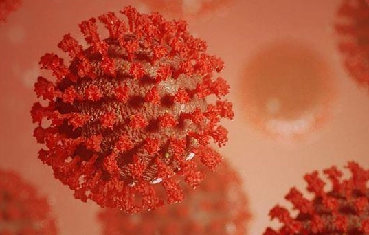 covid19 delta variant