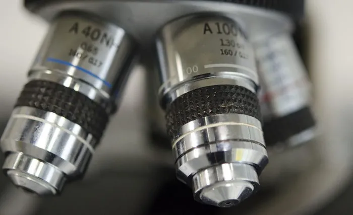 immunotherapy lets win