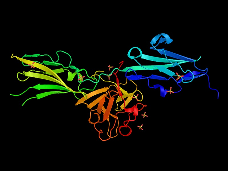 pemigatinib FDA approved